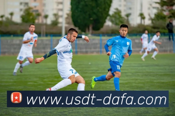 大发彩票平台生态图